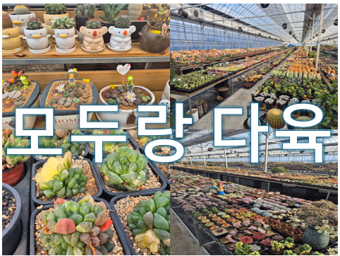 모두랑다육 사진 1