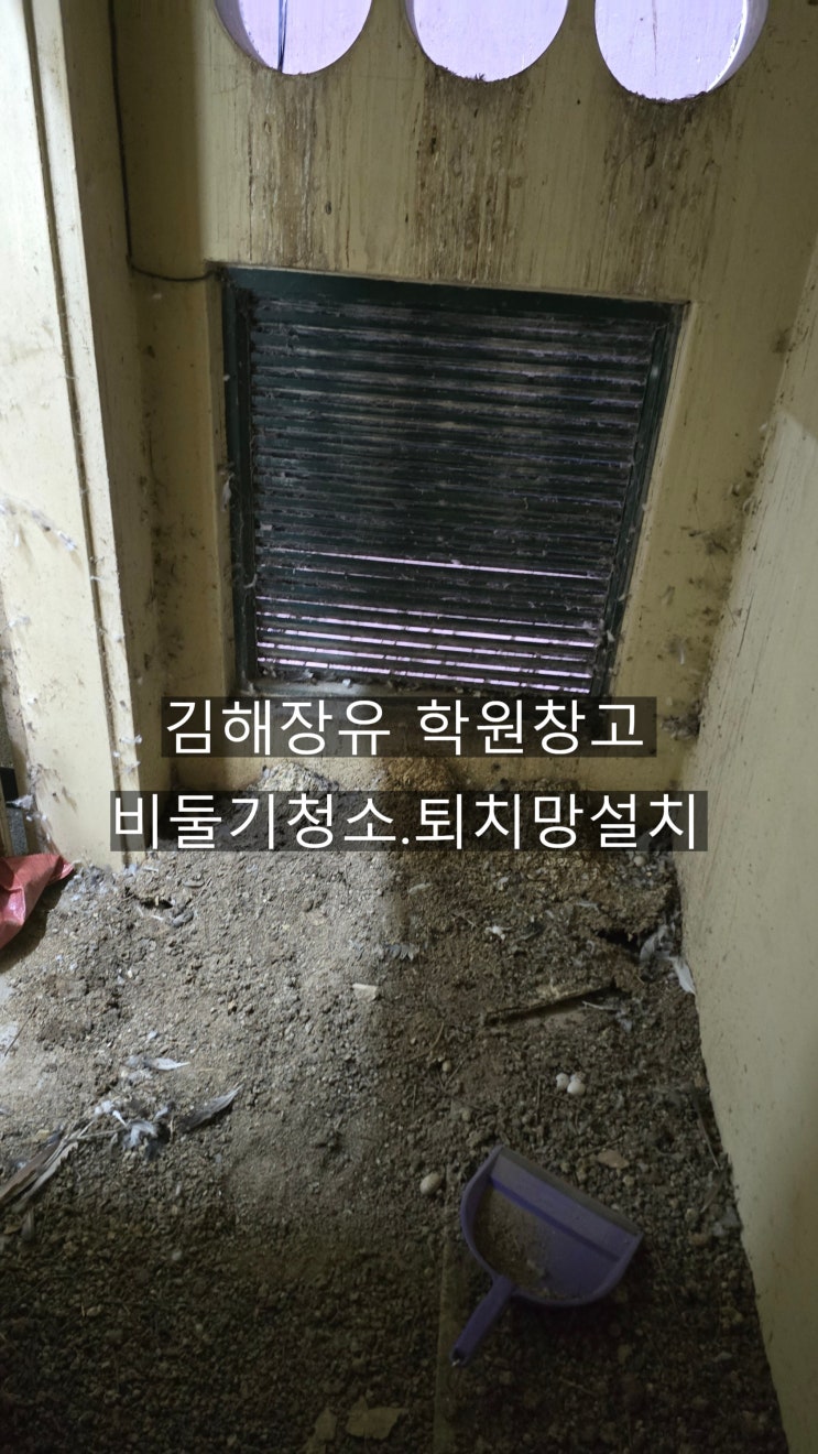 양산비둘기[퇴치]청소 김해장유 학원창고 비둘기똥,비둘기알,깃털,벽엔 거미로 뒤엉킨곳해결   퇴치망설치 냄새박멸 ~ 양산해피홈케어