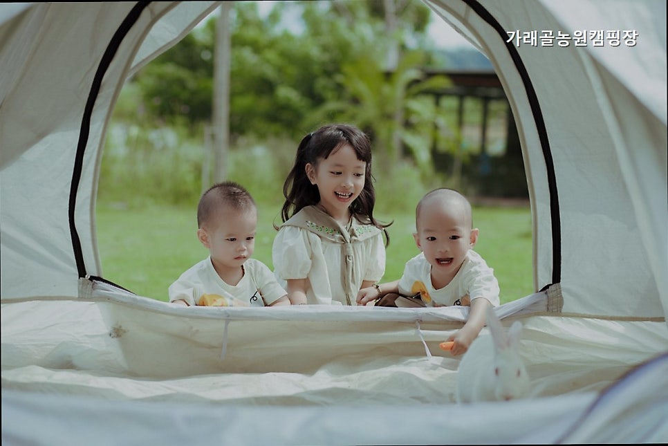 가래골농원 캠핑장 사진 3