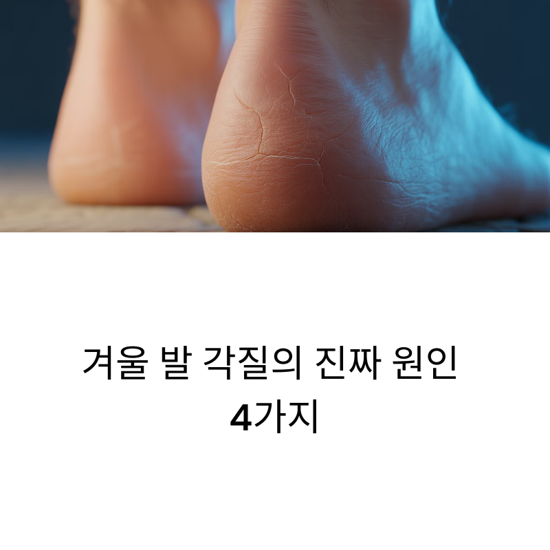 겨울 발 각질의 진짜 원인 4가지 | 당뇨·무좀·굳은살·건조증 원인별 해결법