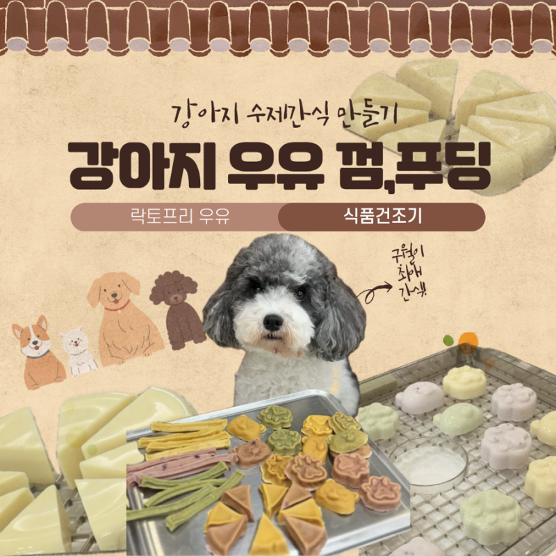 [강아지 수제간식 추천] 락토프리 우유로 만드는 우유껌 3종 만들기 (+ 푸딩도 가능)