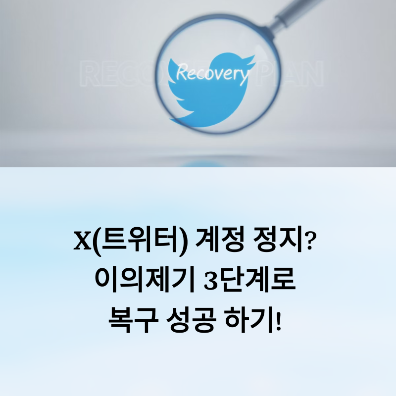 X(트위터) 계정 정지? 이의제기 3단계로 복구 성공비결!