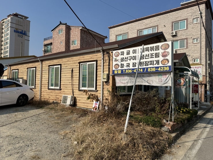 참참 사진 3