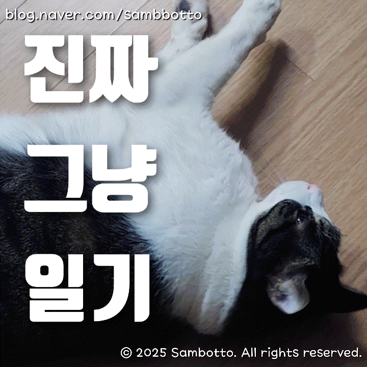  진짜 그냥 일기 | 하루에 감사한 일 다섯개씩 적어보기, 찐친과 데이트, 일산 곰타코, 아이폰에서 왜 폴더가 이사하기를 싫어할까?