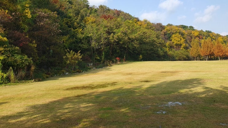  우편 vs 택배, 어떤 서비스가 더 좋을까? 선택 가이드