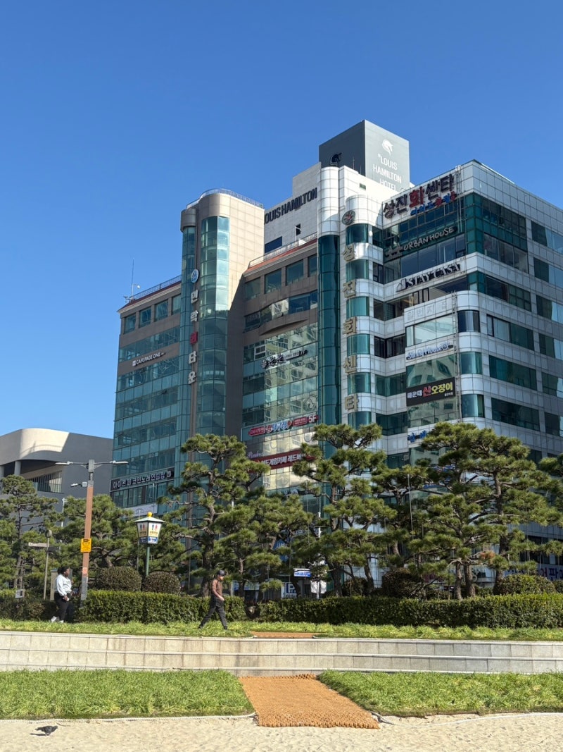 사진 4