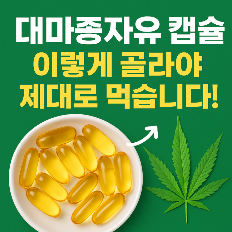   대마종자유 캡슐, 효능 차이 & 제대로 고르는 선택 가이드