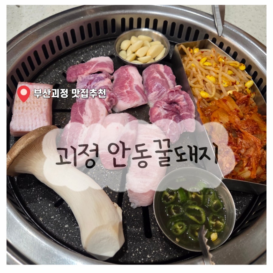 안동꿀돼지 사진 1