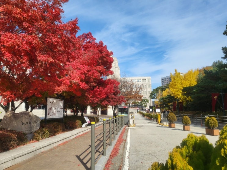  [MBA]서울대 MBA