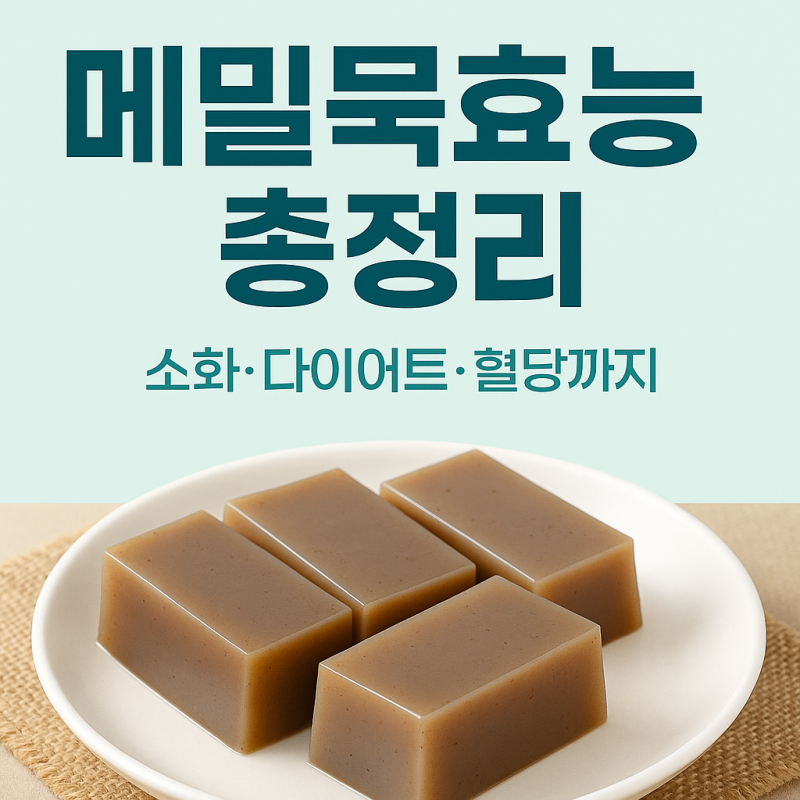 메밀묵효능 다이어트·혈당 관리에 좋은 이유 한눈에