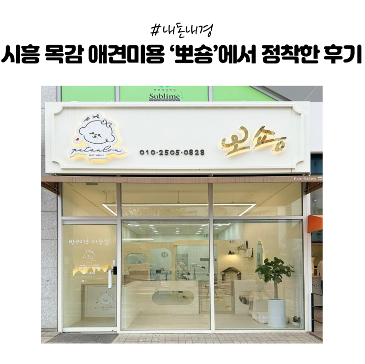  [내돈내경] 시흥 목감동 애견미용실 싹 다 다녀본 결과 → 뽀숑으로 정착했습니다