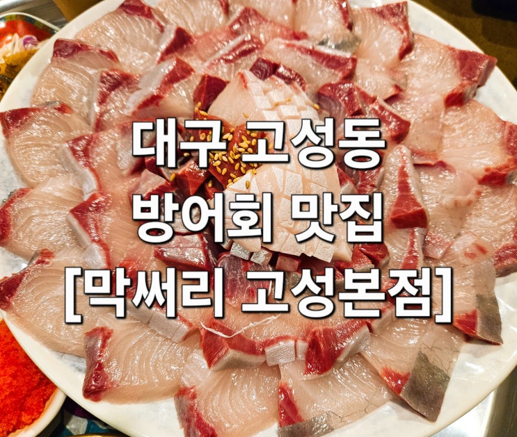  대구 고성동 겨울 제철 방어 성지 발견 ‘막써리 고성본점’