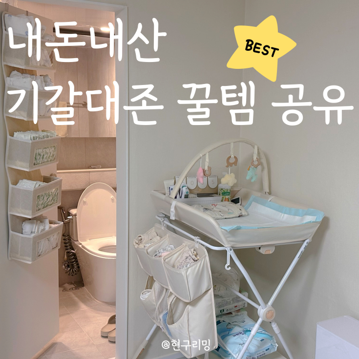  신생아 기저귀갈이대존 내돈내산 꿀템 공유 ㅣ 수납함 아기비데 매직캔쓰레기통 깔개매트