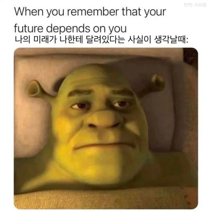 <b>피지컬</b> : <b>아시아</b> 보고 <b>몽골여행</b> 가보고 싶어진 사람