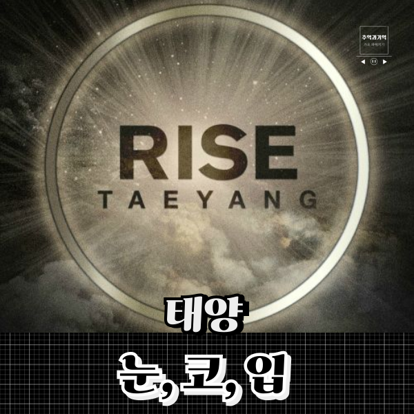 태양 눈코입 슬픈 이별 노래 너의 눈코입 가사 해석