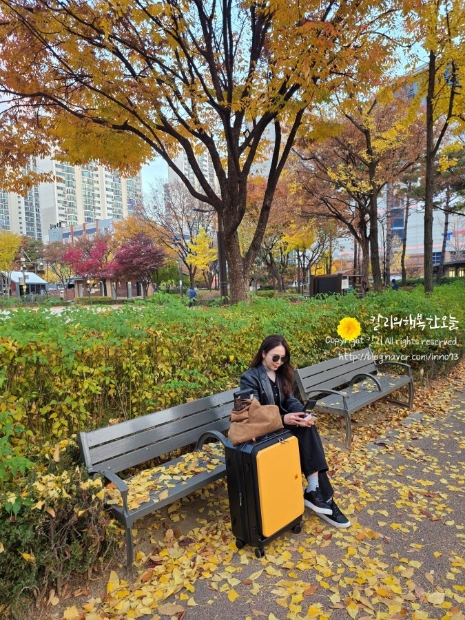 패션캐리어 코닥캐리어 24인치 3박4일 여행준비 클래식 사이즈 크기 추천