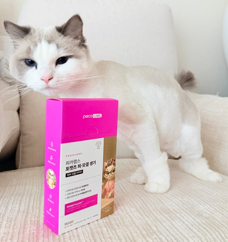  고양이오메가3, 고양이 츄르 영양제 '피카노리 피카랩스 포캣츠'