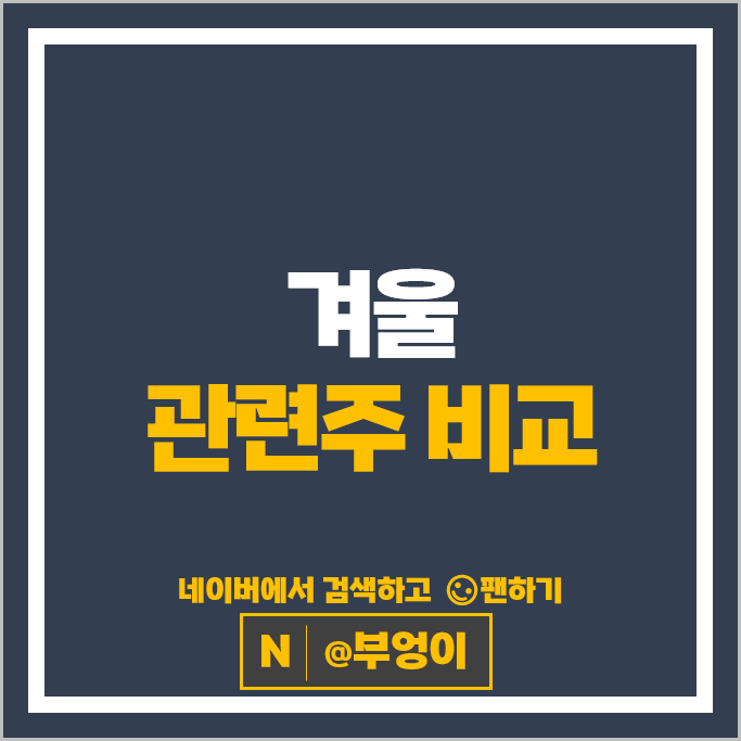겨울 관련주 테마주 SPC삼립 광동제약 유한양행 주가 경동나비엔 주식