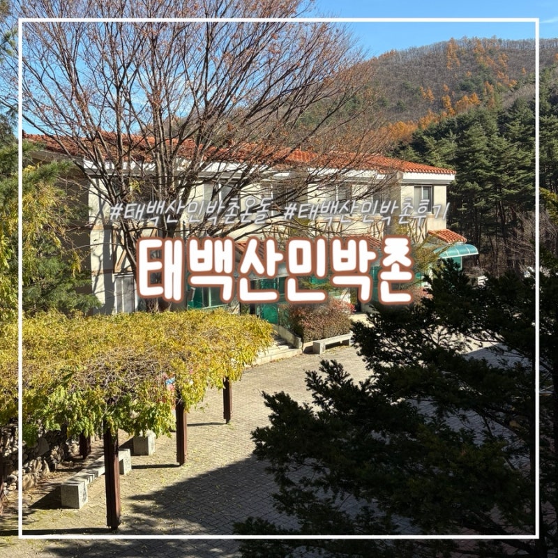 태백산 민박촌 2인실 온돌룸 및 부대시설 후기