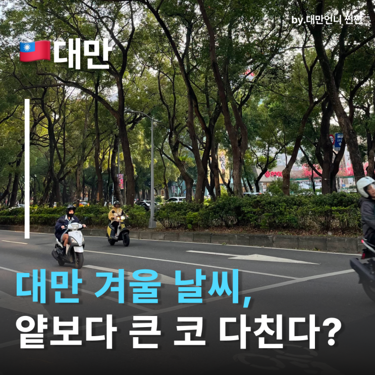  대만겨울 왜 이렇게 추울까? 뼈시리게 추운 대만날씨 이유는?