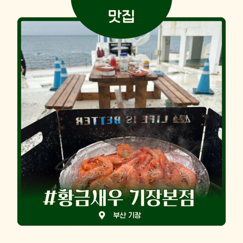 [황금새우 기장본점] 부산 기장 대하구이 | 야장 대하 맛집 | 솔직후기, 내돈내산