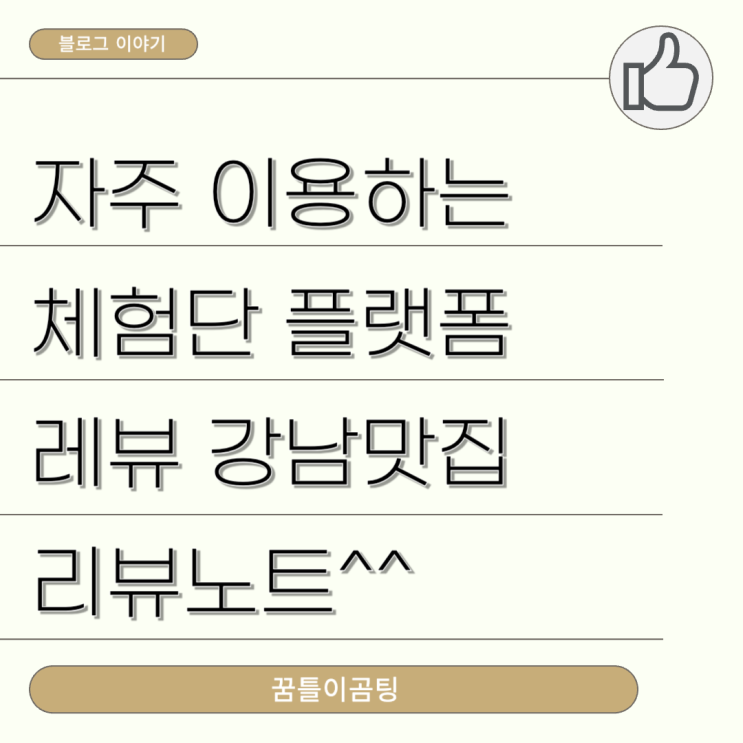  자주 이용하는 체험단 플랫폼(ft. 레뷰 강남맛집 리뷰노트)