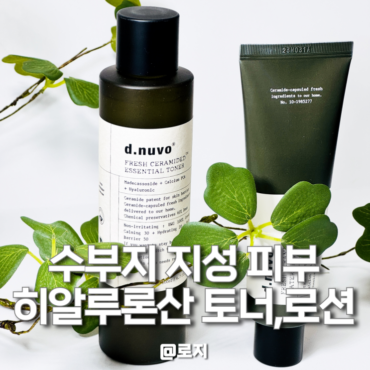  건성 수부지 피부 히알루론산 토너 수분크림 추천 디누보 세라마이드 스킨로션