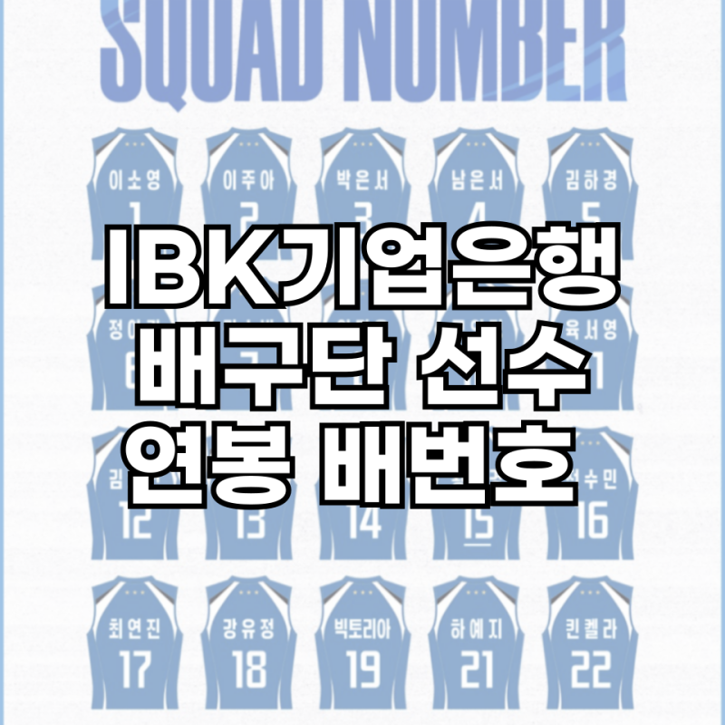 IBK기업은행배구단 선수단 연봉 배번 외국인선수 황민경 이소영