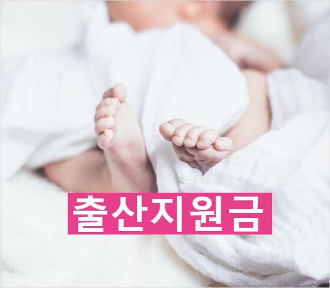 울산 울주군 출산 지원금 2025 2026 산후 회복지원금 온라인 신청 서비스 소득 제한 없어