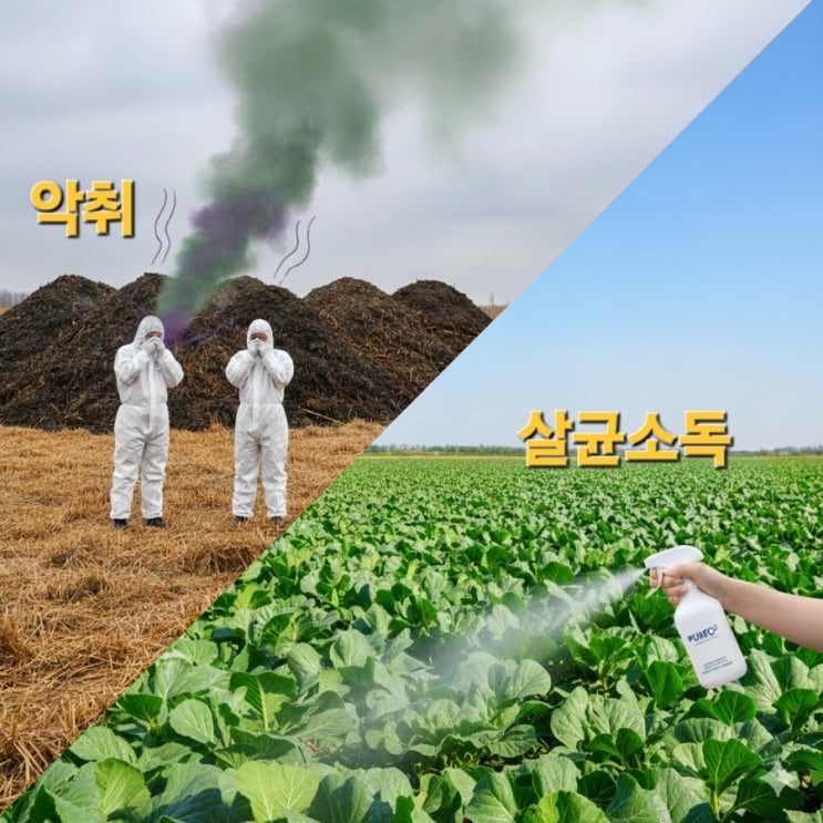   새만금 조사료 재배단지 악취 문제 ― 동물성 폐기물 비료로 발생한 문제와 대처방안 그리고 친환경 악취저감 솔루션 ‘퓨어오투 이산화염소수’의 적용