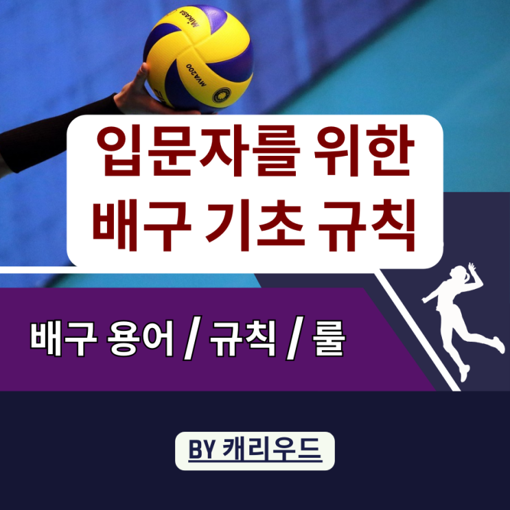  V리그 국내 남자, 여자 프로배구 경기 방법과 기본 규칙 정리