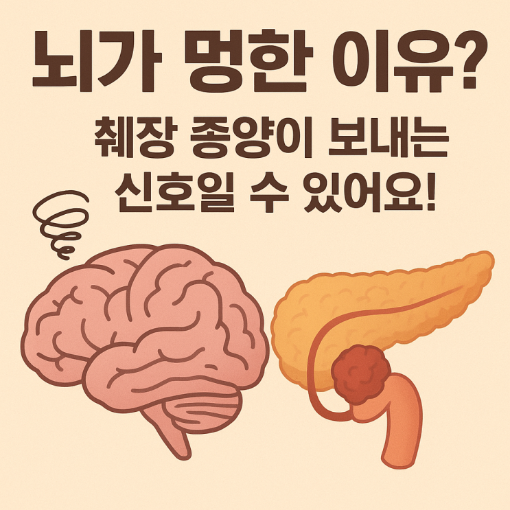  인슐린종(췌장 종양), 뇌 기능에 어떤 영향을 줄까?