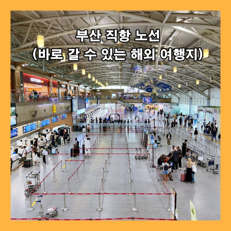  부산 직항 노선 (바로 갈 수 있는 해외 여행지) : 15개국 40개 도시 (2025년 11월 24일 기준)