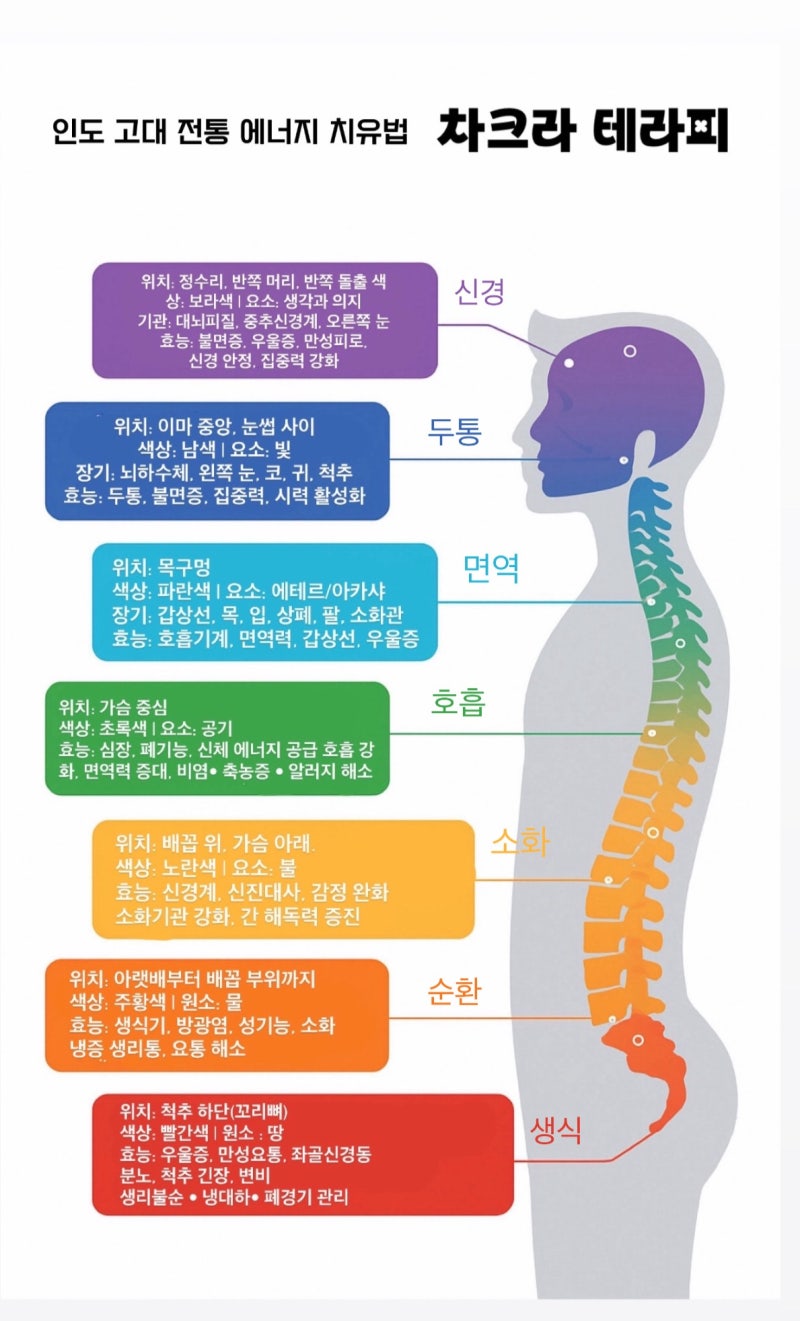 차크라 에너지의 흐름이 삶을 바꾼다 : 네이버 블로그