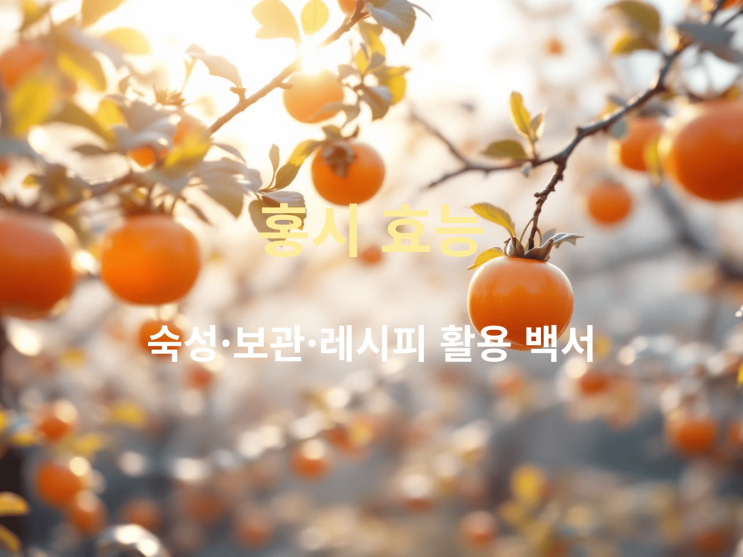  홍시 효능부터 숙성·보관·레시피 활용 백서