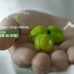 암웨이 뉴트리라이트 비타민C, 합성 비타민과는 달라요 — 자연에서 온 건강의 힘