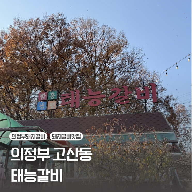  [의정부 고산동] 초벌 돼지갈비 맛집 나만의 또간집 | 태능갈비