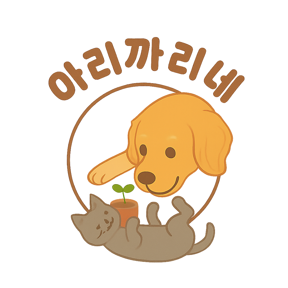 중화요리 란 사진 1