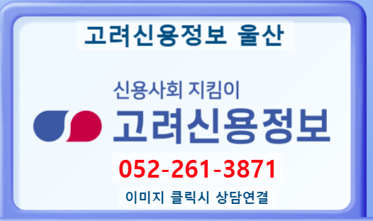  고려신용정보 울산 (명의 대여자로서의 책임에 관한 설명