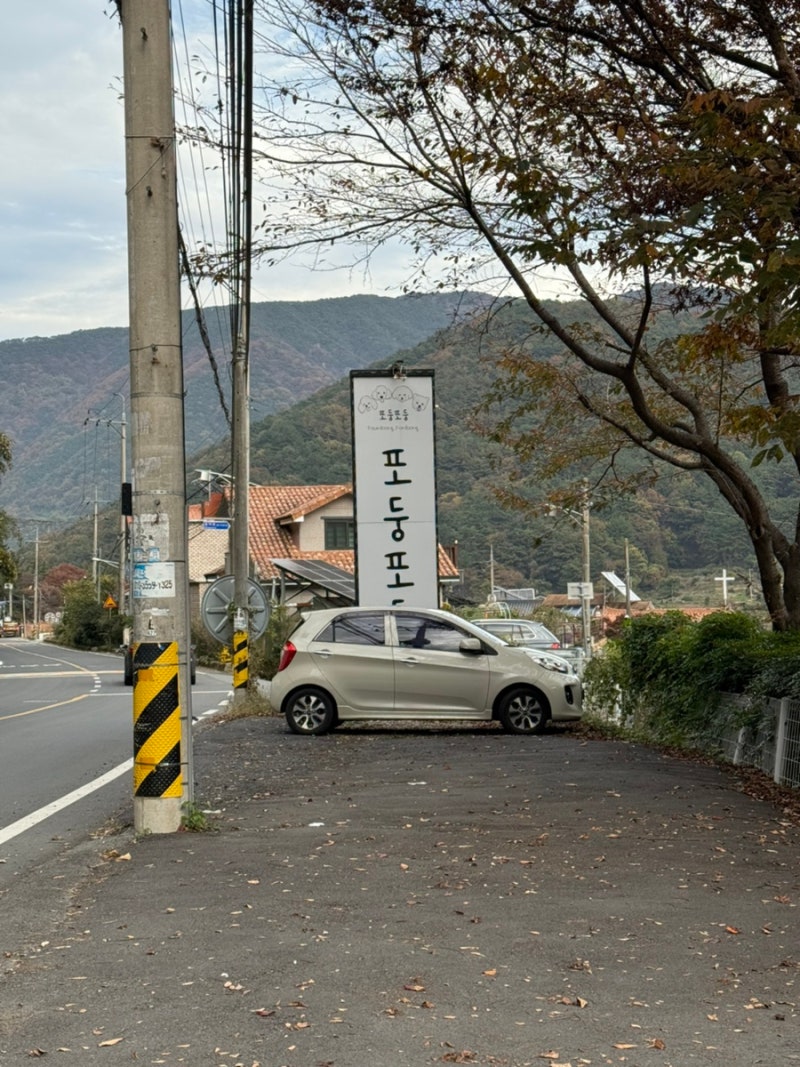사진 5