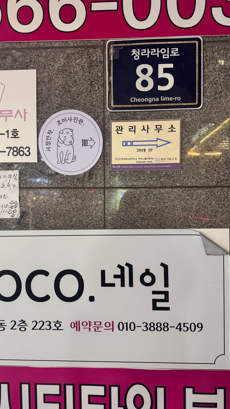 사진 2
