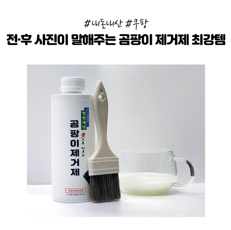  [내돈내산] 이렇게 싹 사라진 적 처음! 화장실·벽지 곰팡이 제거제 리얼 후기