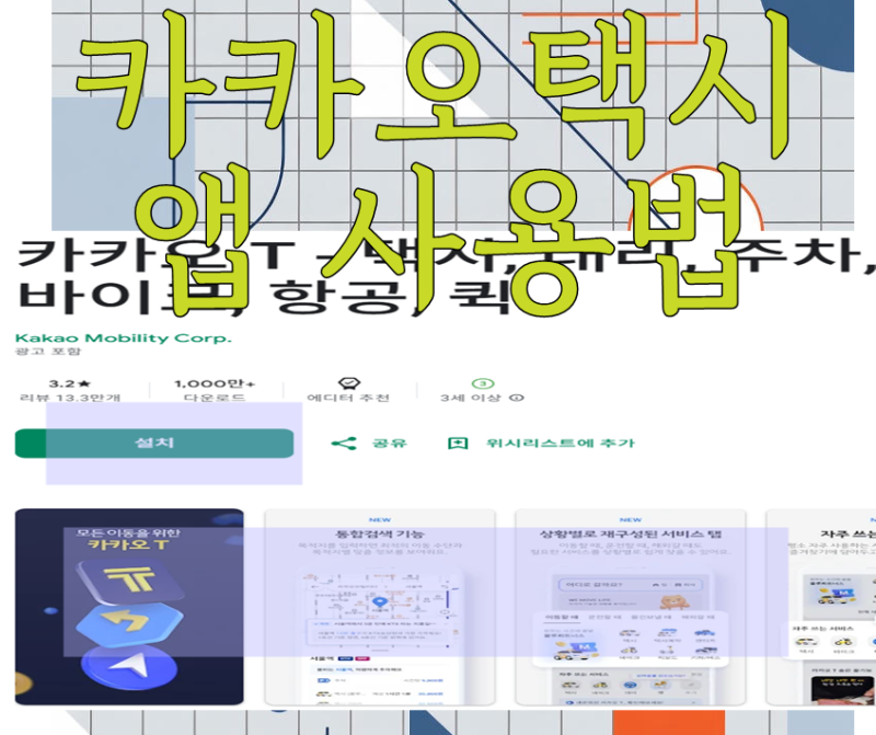 카카오택시 앱 사용법 예약 현장 결제 다운 설치 시간 이용 방법