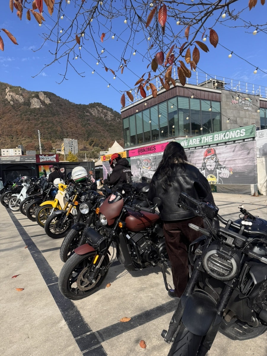 바이콩즈 사진 4