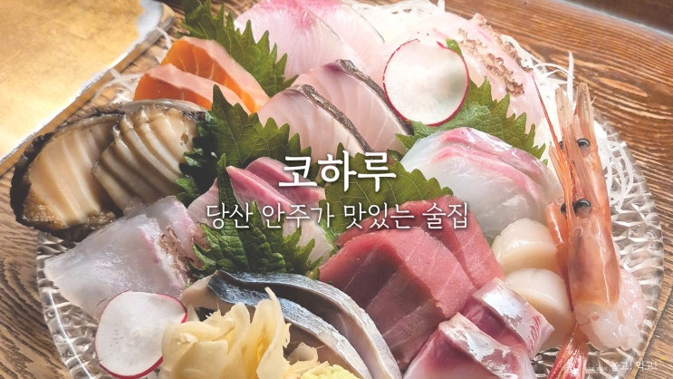  코하루: 당산역 사시미, 고등어봉초밥이 맛있는 이자카야