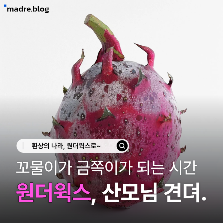  [원더윅스 시즌 2] 금쪽이 타임이 왔어요