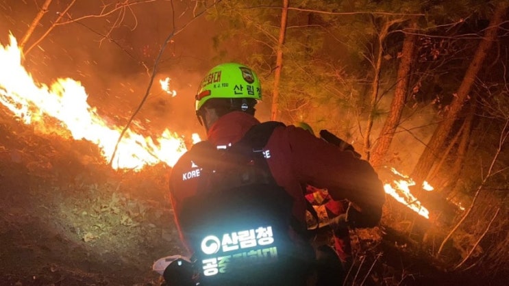 <b>인제 산불</b> 원인 농막에서 시작되었다는데 언제쯤 <b>완전 진화</b>될까?
