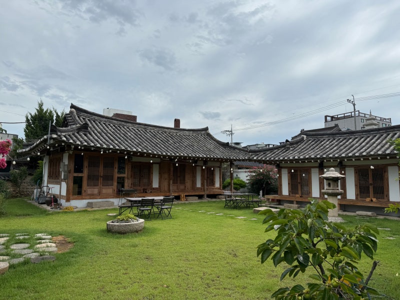 사진 5