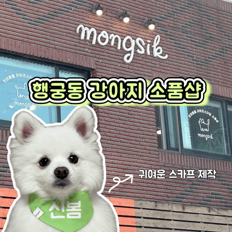  수원 행궁동 강아지 소품샵 몽식 신봄 네임 스카프 제작