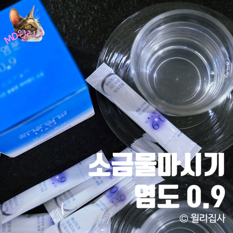  하루염분 0.9 용융소금으로 시작하는 소금물마시기 건강관리